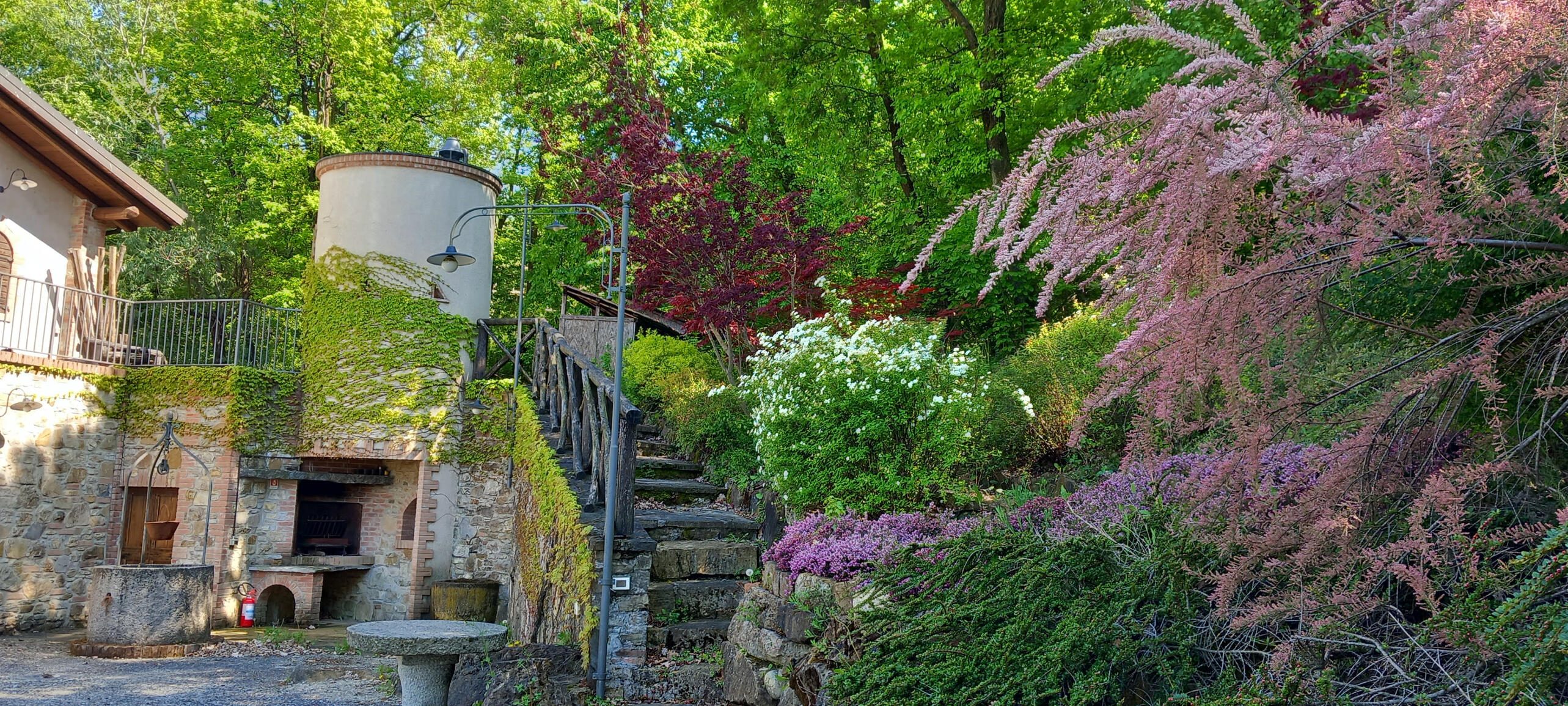 Scorcio del giardino