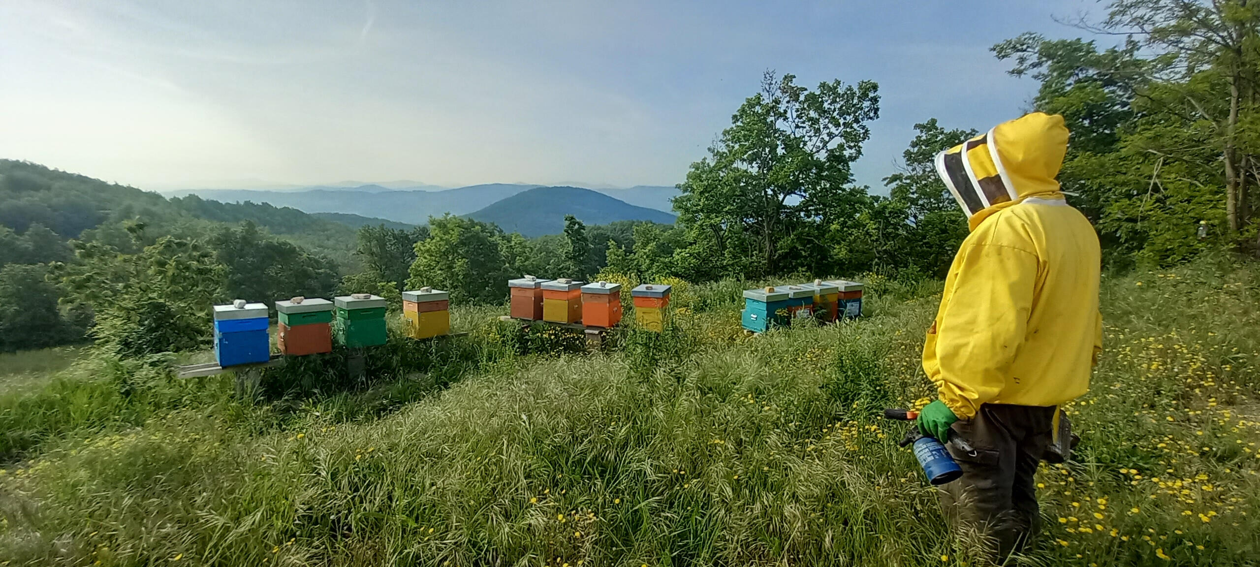 I nostri apiari in collina:
